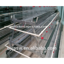 Cheap Poultry Cage For Chicken Farm A Type, 3 Tiers
